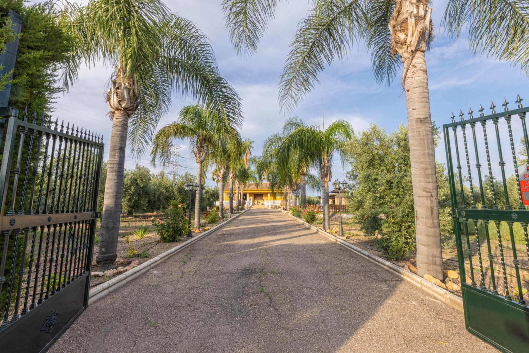 Casa Rural En El Entorno De Donana Villa Hinojos Kültér fotó